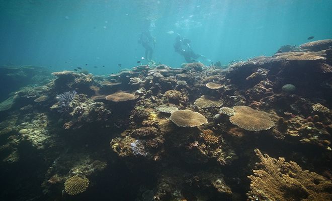 基地に揺れる辺野古、ジュゴンが暮らす海からのメッセージ。映画『ZAN