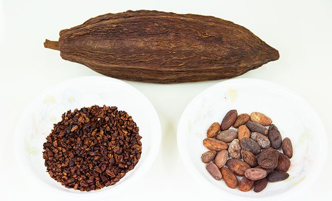 カカオからチョコレートを作ったら世界が見えてくる 全国に広がる手作りワークショップ Kokocara ココカラ 生協パルシステムの情報メディア