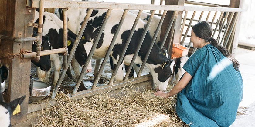 牛舎で牛を見る菓子研究家の長田佳子さん
