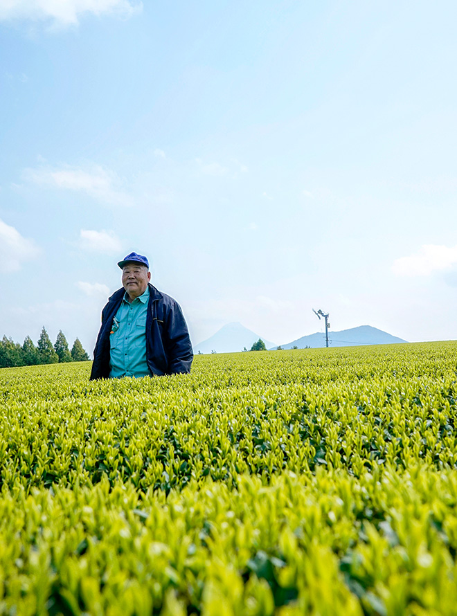 茶畑の中に立つ藤﨑さん。有機栽培当初を振り返り、複雑な思いがこもった笑顔を見せる