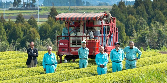茶畑に集う「塗木製茶工場」のメンバー