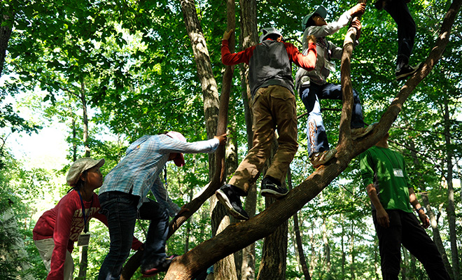 木登りする子どもたち