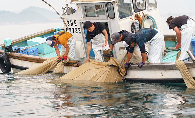 しらすの網を引き揚げるため、海面ぎりぎりまで傾いた船体の上で作業する若手漁師たち。