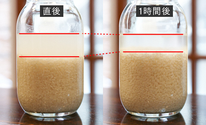 左の瓶は水を入れてすぐ、右の瓶は1時間吸水させたお米