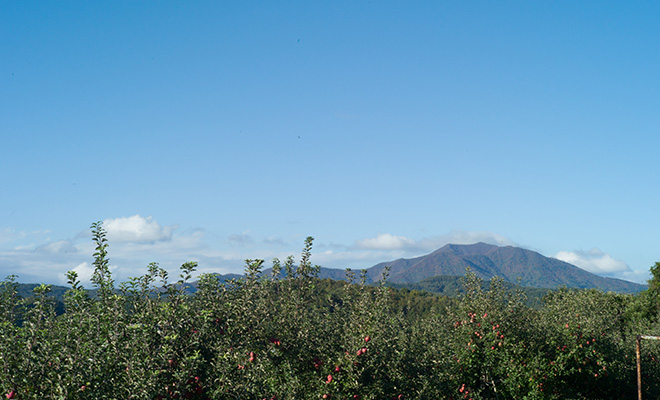 飯綱町のりんご畑と遠くの山、青空