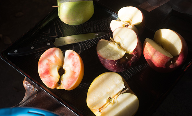 アップルファームさみずで食べ比べた、見た目も味もさまざまなりんご6種の断面