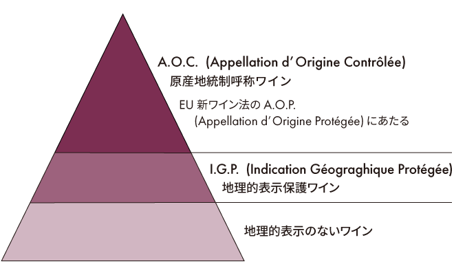 ワインの品質基準を三角形で表した図。三角形の下から順に「地理的表示のないワイン」、「I.G.P.（地理的表示保護ワイン）」、EU新ワイン法の「A.O.P.」にあたる「A.O.C.（原産地統制呼称ワイン）」となる
