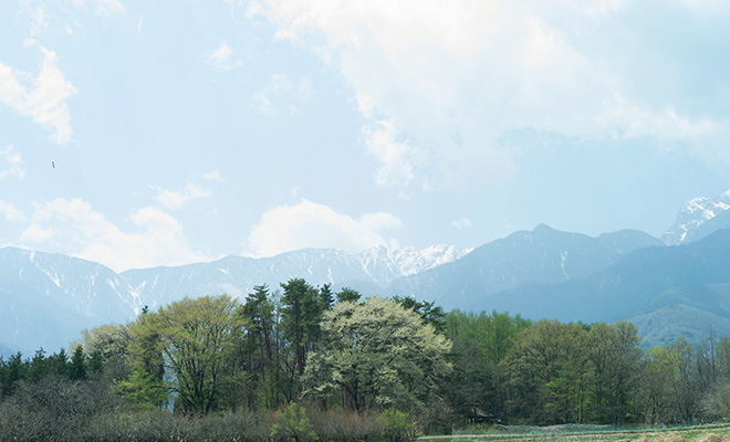 白州町から見える山並みと青空、濃淡の緑や色とりどりの木々