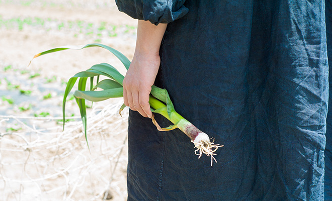 畑に立つ長田佳子さんが手に持つ、にんにくの葉