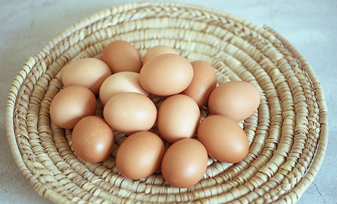 カゴに盛られたたくさんの平飼い卵