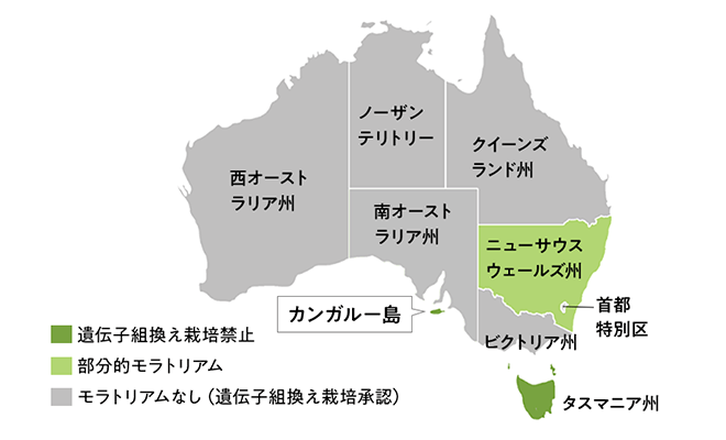 2021年3月現在、遺伝子組換え栽培を禁止しているのは、南オーストラリア州のカンガルー島とタスマニア州のみ。ニューサウスウェールズ州と首都特別区は、部分的モラトリアムで一部禁止している。南オーストラリア州本土とその他の州はモラトリアムがなく、遺伝子組換え栽培が承認されている。