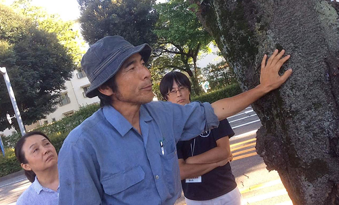 2014年当時、国立市にてソメイヨシノに触れながらようすをみる矢野智徳さん