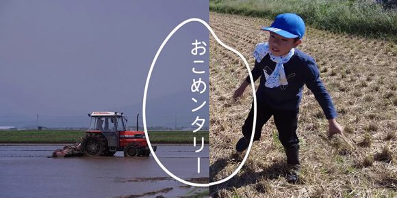 お米農家4名の写真