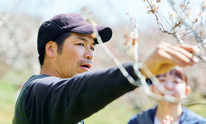 梅の枝を手に取りながら、今井さんに説明する長谷川さん