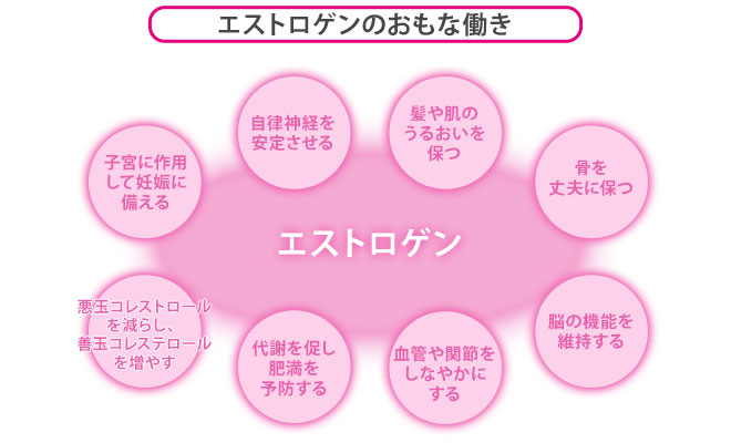 エストロゲンによって守られていた代表的な働きを表した図式