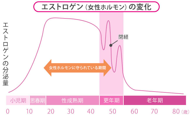 加齢によるエストロゲンの分泌量の変化を表す図表