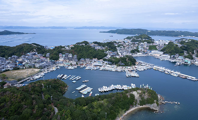 ドローンで見た坊勢島