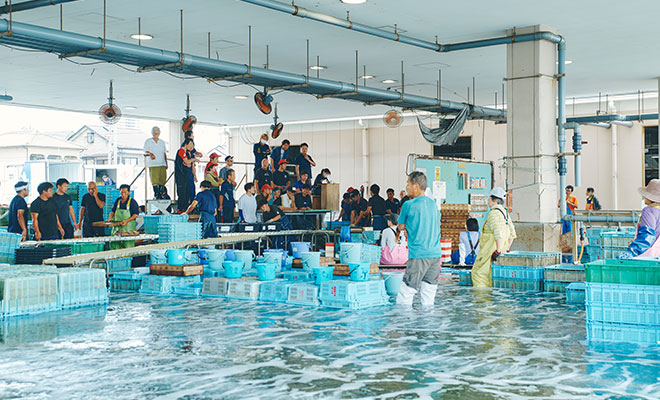 明石浦漁協のセリ場