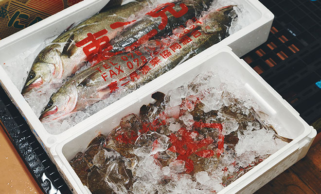 鮮度良く工場に届いた加工用の魚