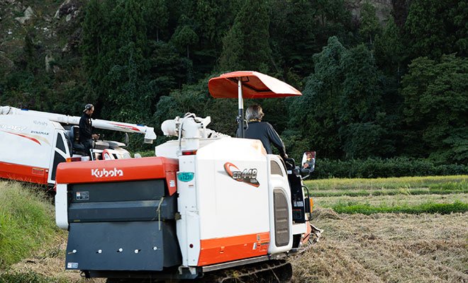 稲刈り作業のようす