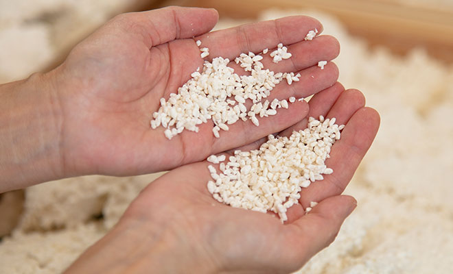 塊をほぐしてぽろぽろの粒状になった麹