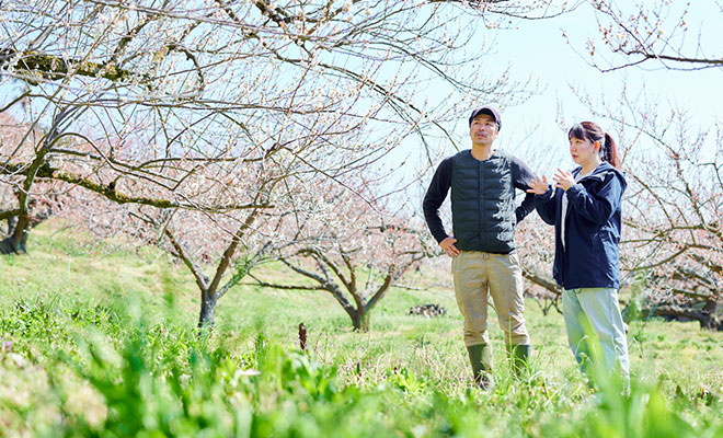 満開の梅畑に立つ今井さんと長谷川さん