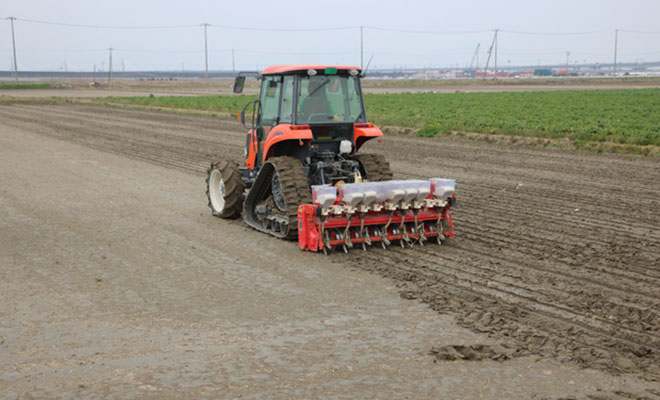 節水型乾田直播