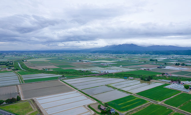 空から見る富良野平野