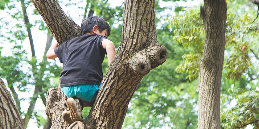 プレーパークで木登りしている男の子