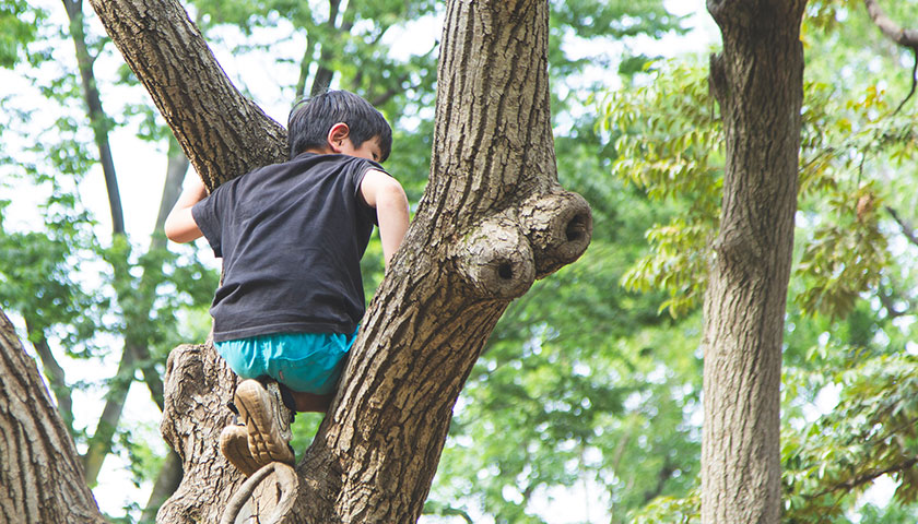 プレーパークで木登りしている男の子