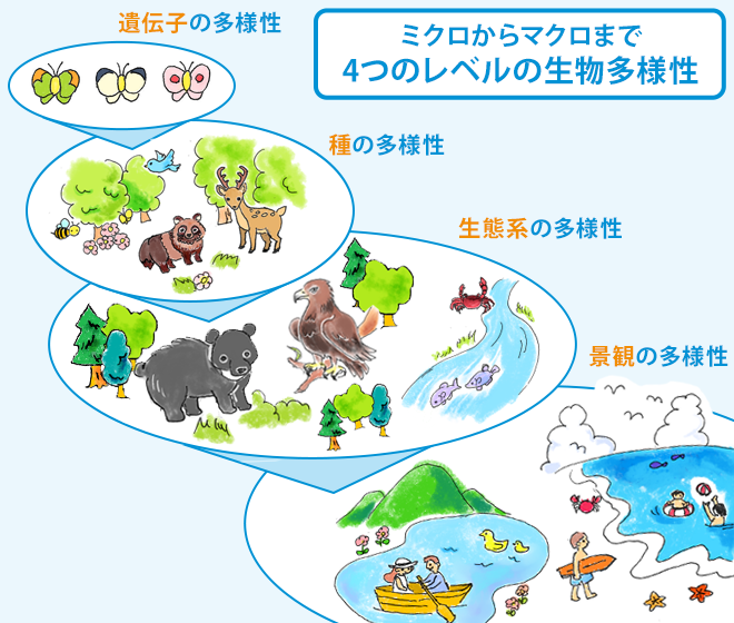 生物多様性を表す4つの階層図
