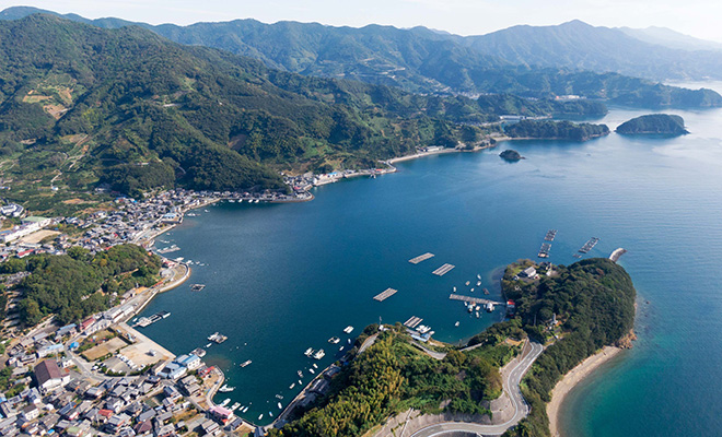 明浜の海を上空から見た景色